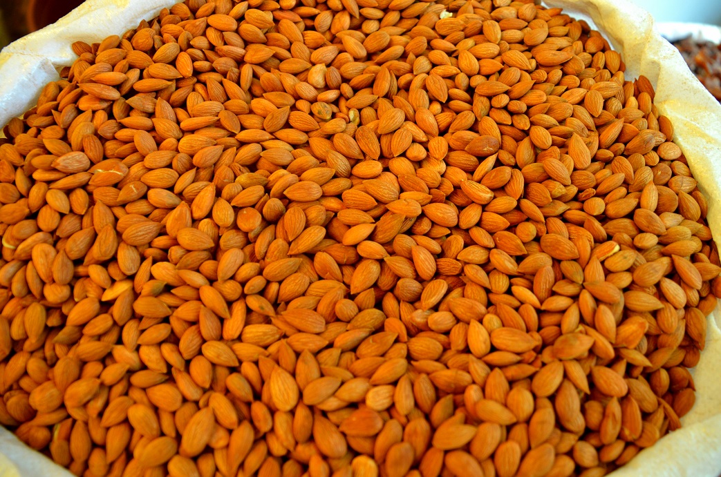 Kayısı çekirdeği